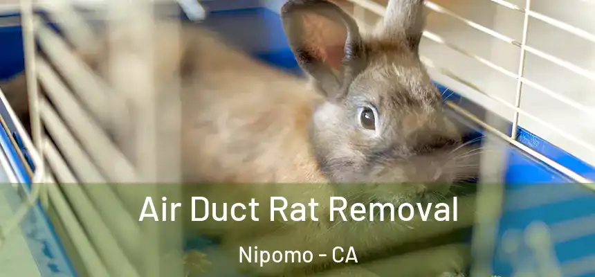  Air Duct Rat Removal Nipomo - CA
