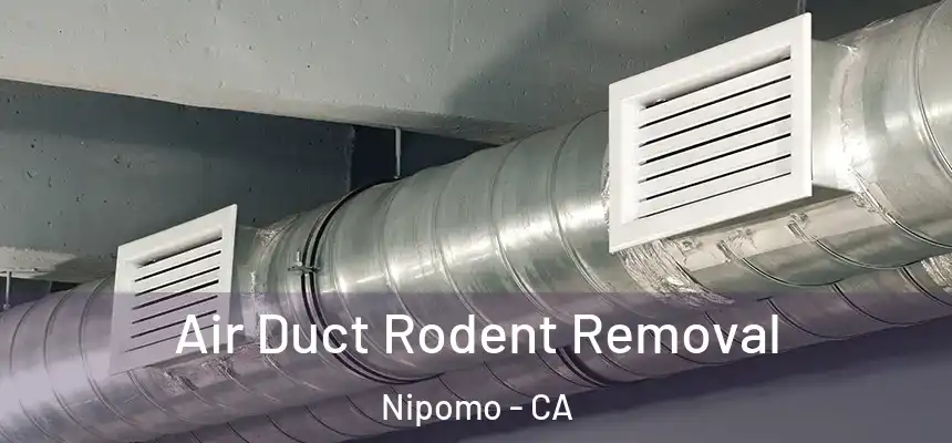  Air Duct Rodent Removal Nipomo - CA