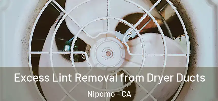 Excess Lint Removal from Dryer Ducts Nipomo - CA
