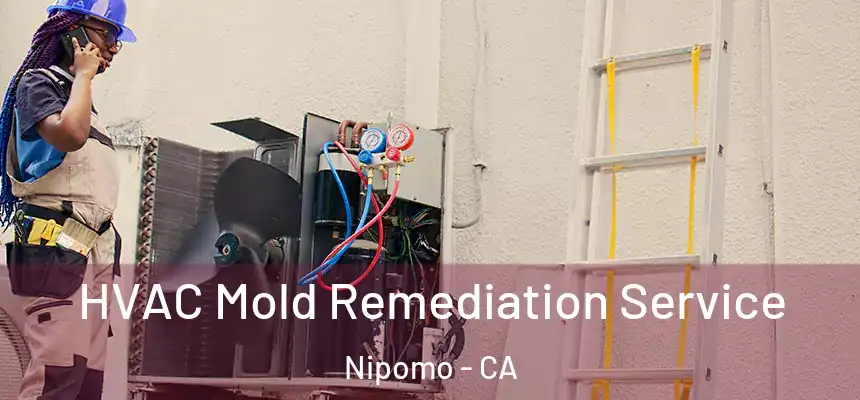  HVAC Mold Remediation Service Nipomo - CA