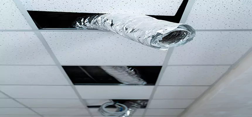 Affordable HVAC Sanitizing After Pest Removal in Nipomo