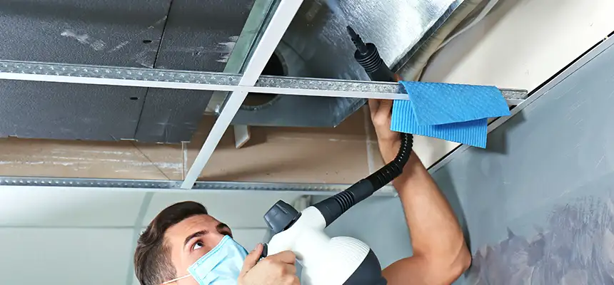 Our Air Duct Rodent Removal Services in Nipomo, CA