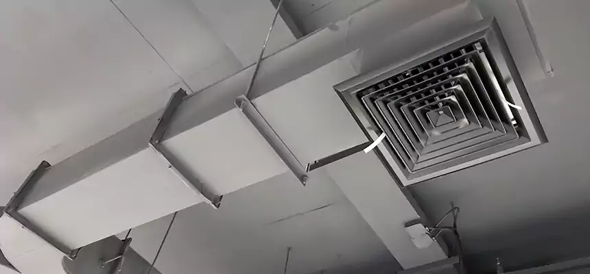 Restorative Allergy Relief Vent Cleaning – Coil, Blower & Housing Detail in Nipomo