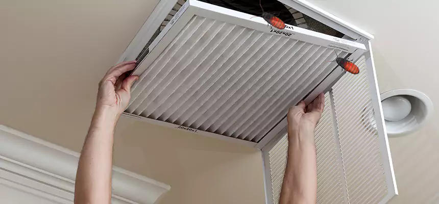 Our Insect Removal from Air Ducts Services in Nipomo, CA