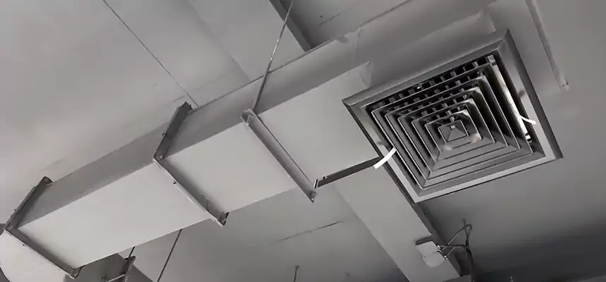 Our Pest Removal From Ducts Services in Nipomo, CA