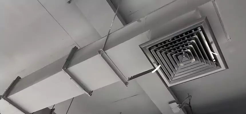 Our Rodent Droppings In Vents Services in Nipomo, CA