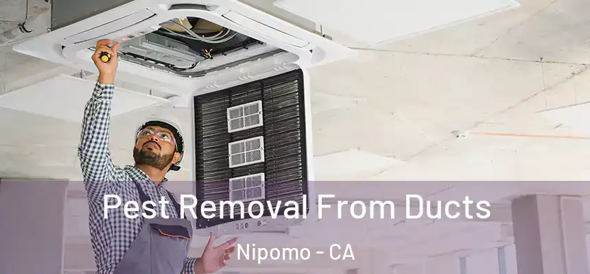  Pest Removal From Ducts Nipomo - CA