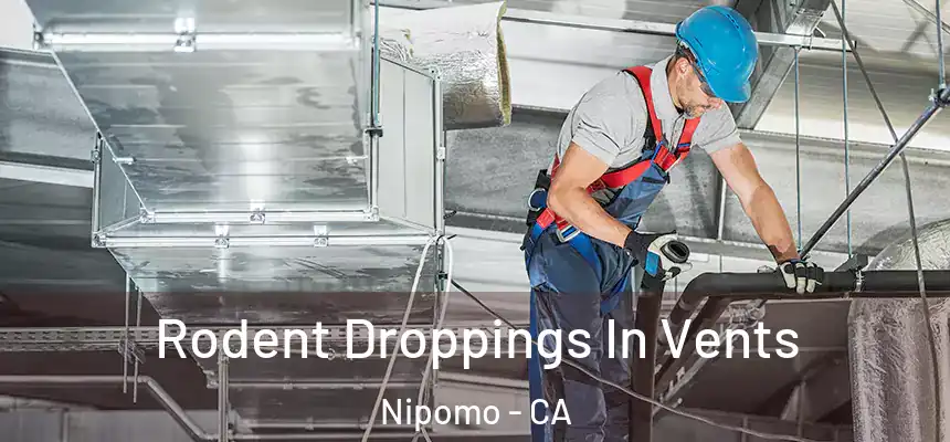  Rodent Droppings In Vents Nipomo - CA