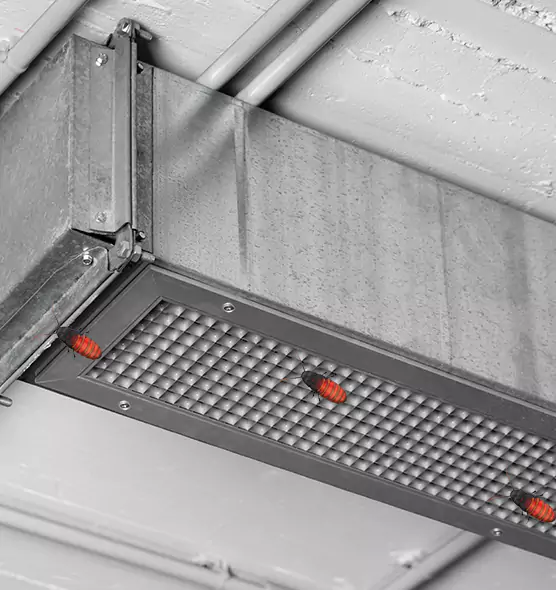 About Air Duct Cockroach Removal in Nipomo, CA