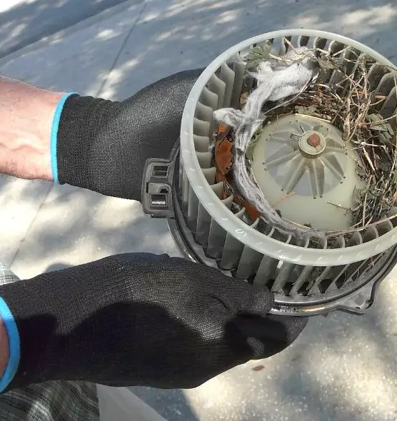 About Air Duct Mice Removal in Nipomo, CA