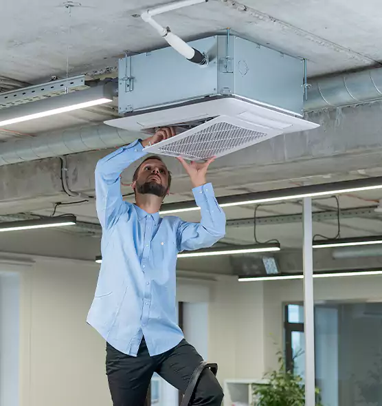 Advanced Rodent Droppings In Vents in Nipomo, CA