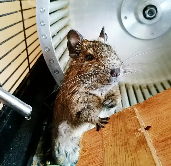 Why Homeowners & Businesses Trust Us Nipomo, CA?