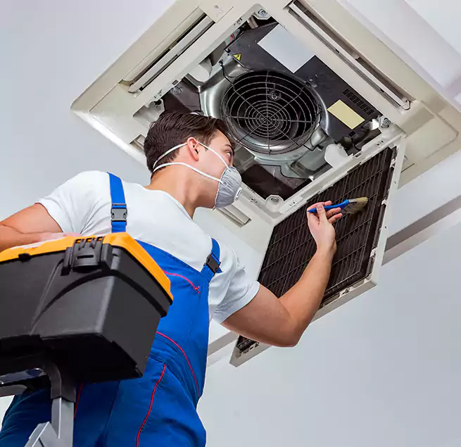 Why Homeowners & Businesses Trust Us in Nipomo, CA