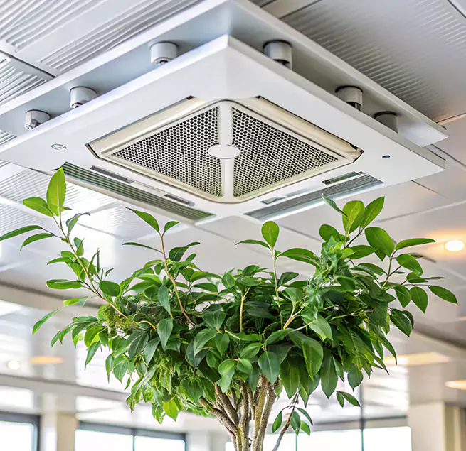 Why Homeowners & Businesses Trust Us in Nipomo, CA