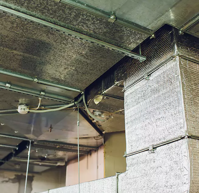 Why Homeowners & Businesses Trust Us in Nipomo, CA?